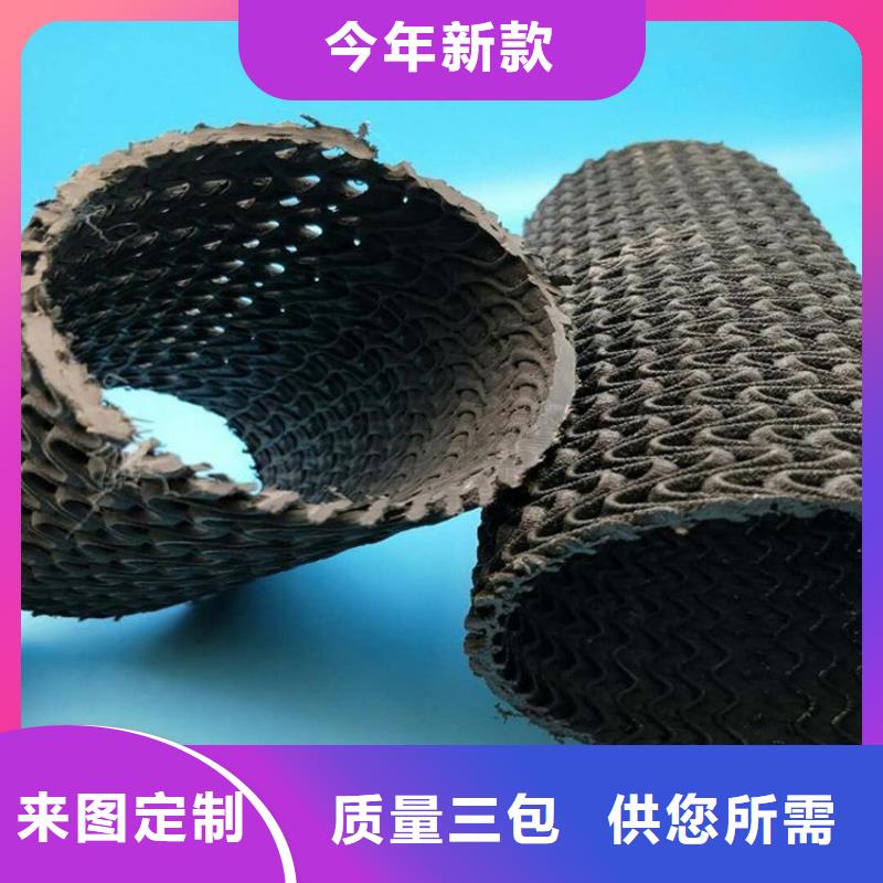 土工格栅视频-土工格栅(鼎诺)覆盖地域河南省三门峡市渑池|义马|开封|洛阳|安阳|许昌|平顶山|驻马店