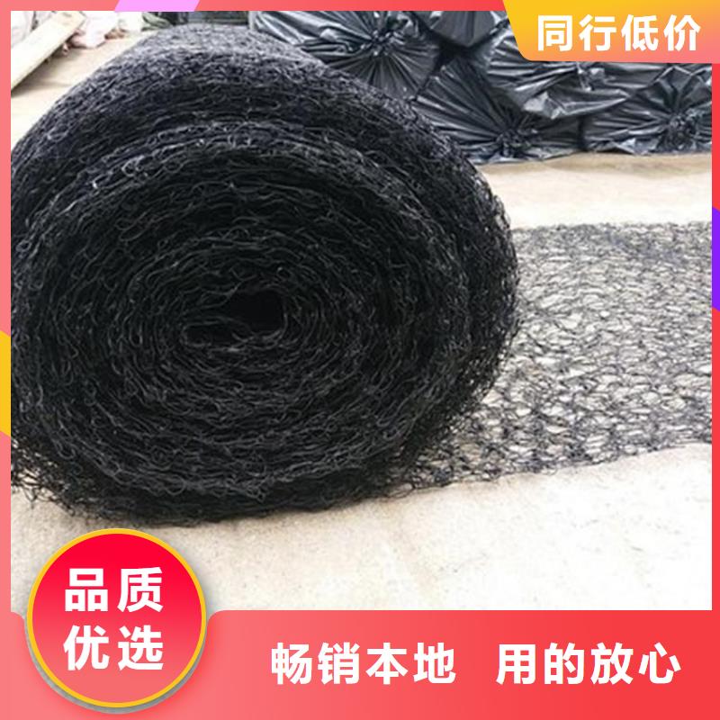 土工格栅视频-土工格栅(鼎诺)覆盖地域四川省乐山市井研|峨眉山|泸州|成都|雅安|凉山|遂宁|甘孜