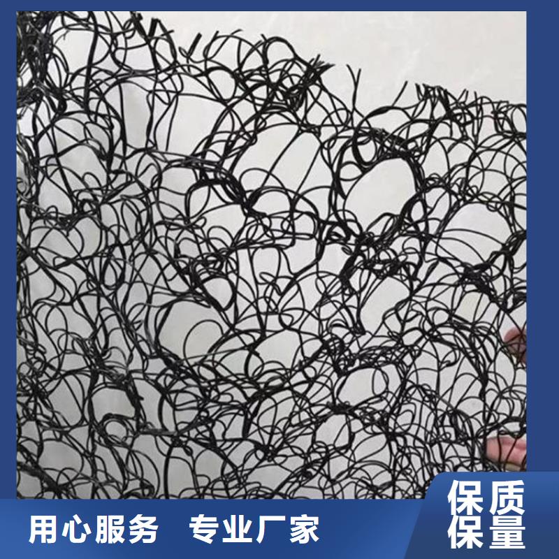 土工格栅视频-三亚市土工格栅-本地可服务区域海口