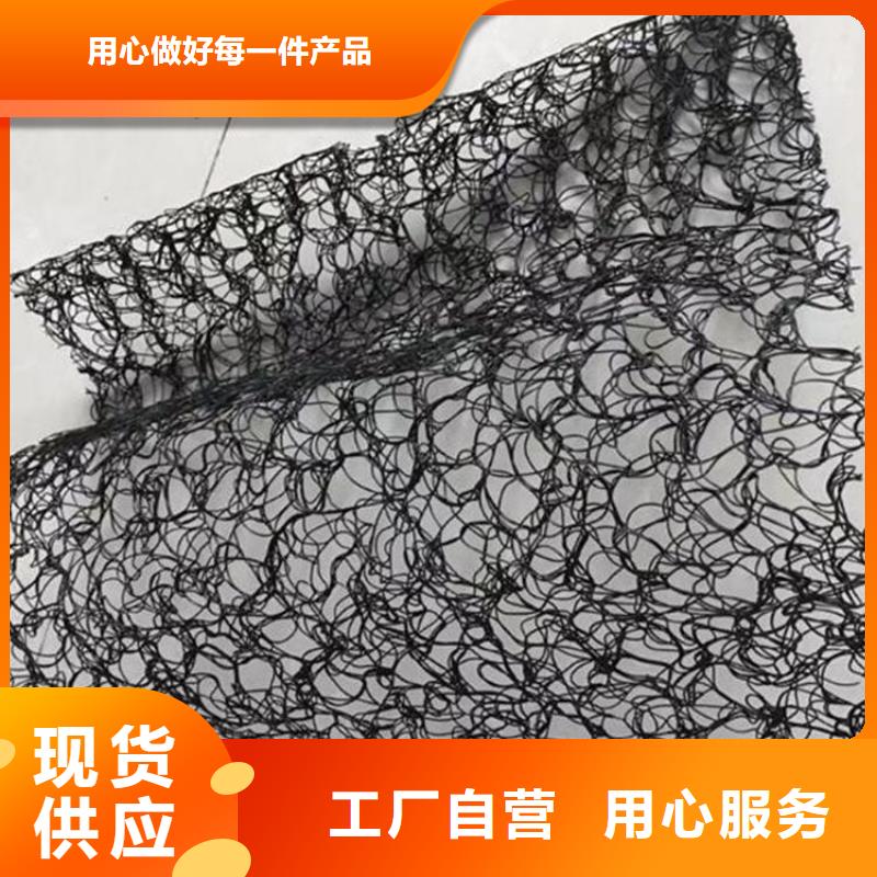 土工格栅视频-土工格栅_广东省梅州市市场覆盖丰顺|五华|韶关|云浮|汕头|湛江等