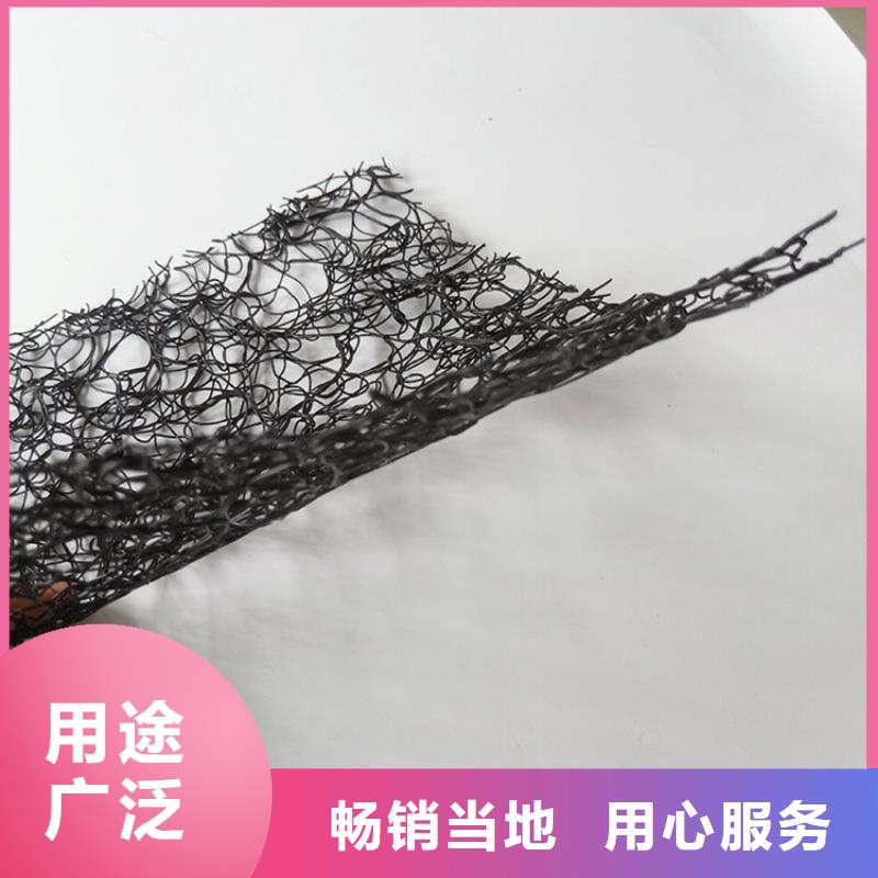土工格栅视频-土工格栅_广东省梅州市市场覆盖丰顺|五华|韶关|云浮|汕头|湛江等