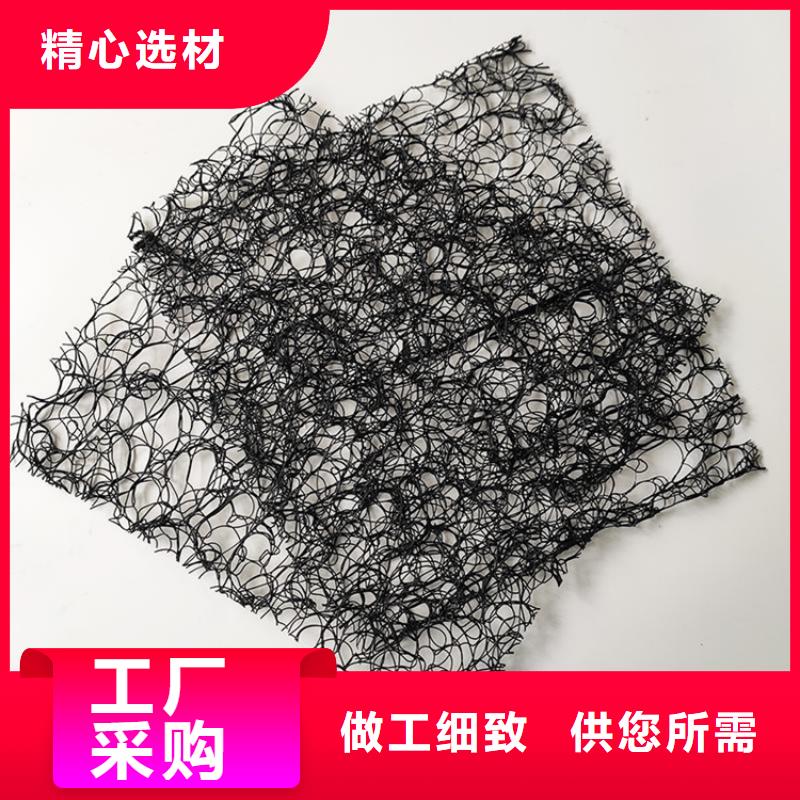 通風降噪絲網土工格柵質量優價格低