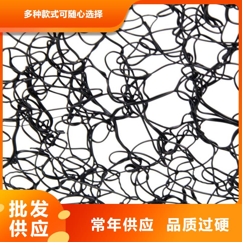 通風(fēng)降噪絲網(wǎng)土工格柵工藝精細質(zhì)保長久