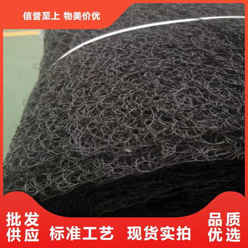 通風(fēng)降噪絲網(wǎng)玻璃纖維土工格柵匠心打造