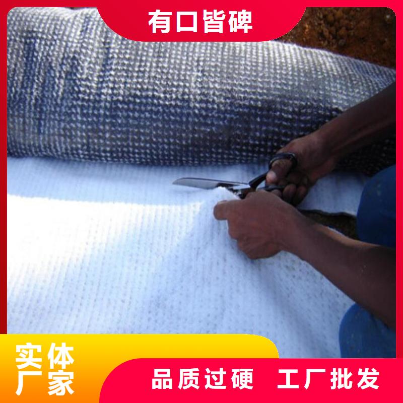 膨潤土防水毯【玻纖土工格柵】實力才是硬道理