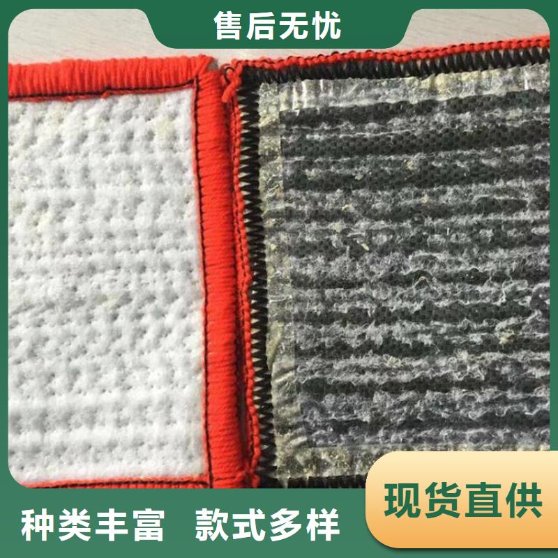 膨潤(rùn)土防水毯土工布專(zhuān)業(yè)生產(chǎn)設(shè)備