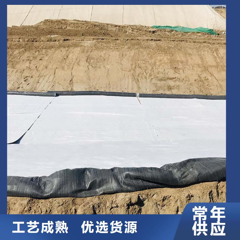 膨潤土防水毯土工膜廠家精選