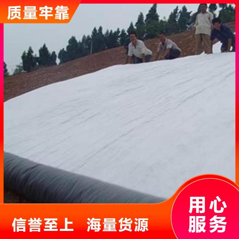 膨潤(rùn)土防水毯土工布專(zhuān)業(yè)生產(chǎn)設(shè)備