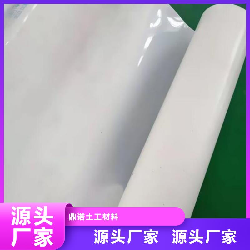 防水板_防滲膜選擇大廠家省事省心