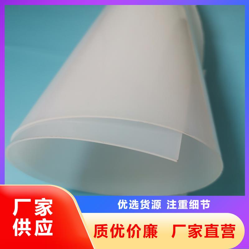 防水板雙向塑料土工格柵讓客戶買的放心