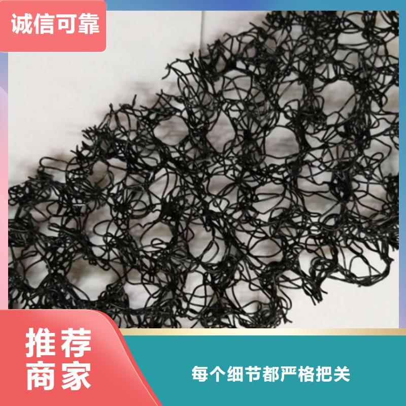 土工格栅视频-沁源|屯留|大同|临汾|朔州|晋城|吕梁|阳泉|太原土工格栅敢与同行比服务-鼎诺土工材料(长治市分公司)