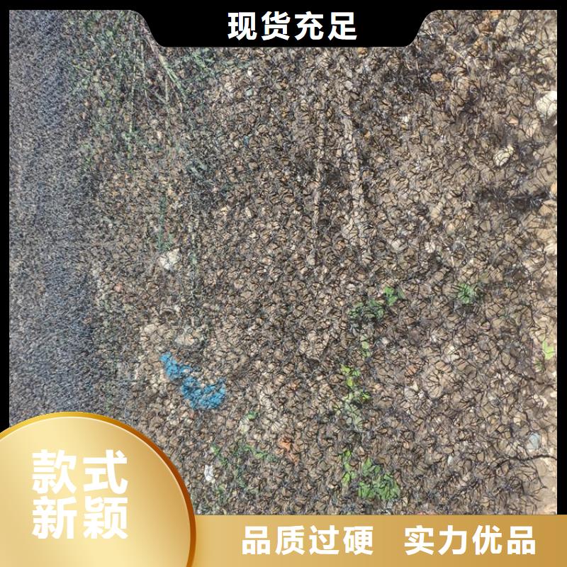 土工格栅视频-土工格栅|汉中市|留坝|宁强|咸阳|宝鸡|铜川|商洛|安康|延安