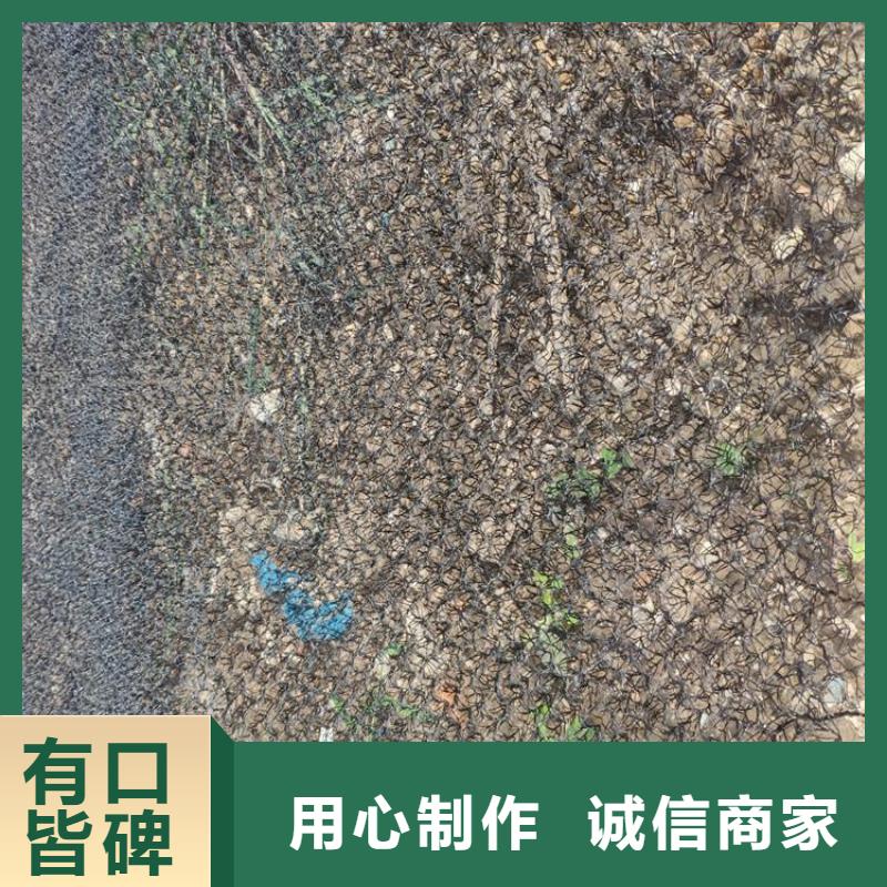 【水土保護毯】-玻纖土工格柵快速報價
