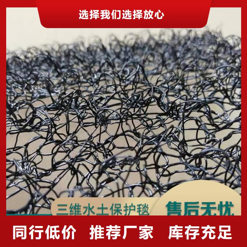 水土保護毯_通風降噪絲網高標準高品質