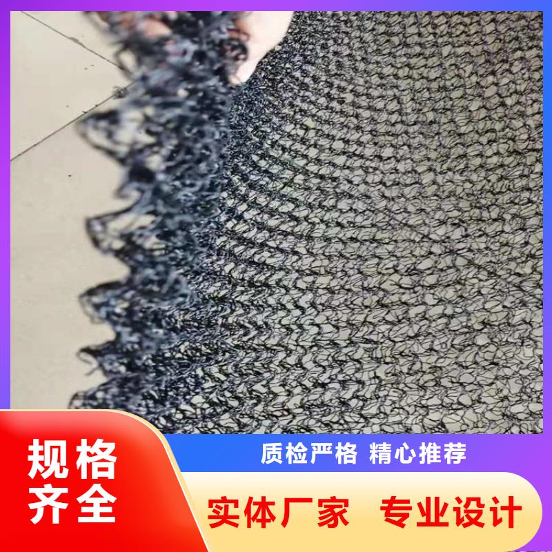 水土保護毯雙向土工格柵批發商