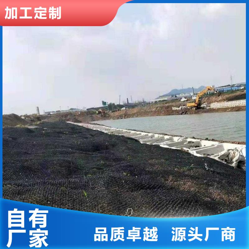 土工格栅视频-土工格栅|汉中市|留坝|宁强|咸阳|宝鸡|铜川|商洛|安康|延安