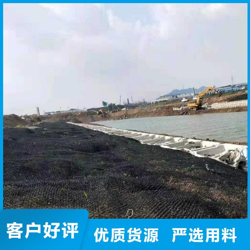 水土保護毯雙向土工格柵批發商