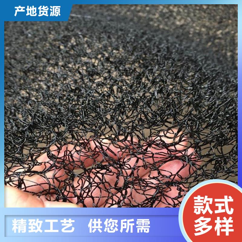 水土保護毯雙向土工格柵批發商
