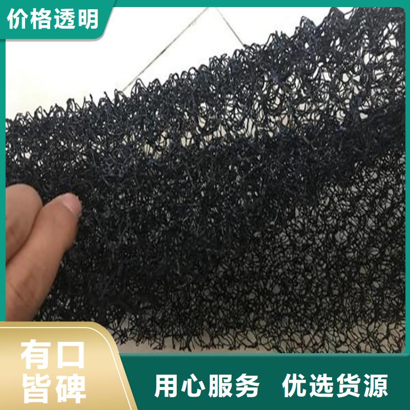 水土保護毯雙向土工格柵批發商