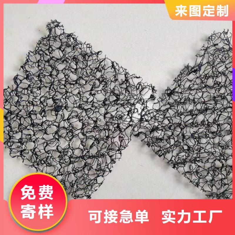 水土保護毯雙向土工格柵批發商