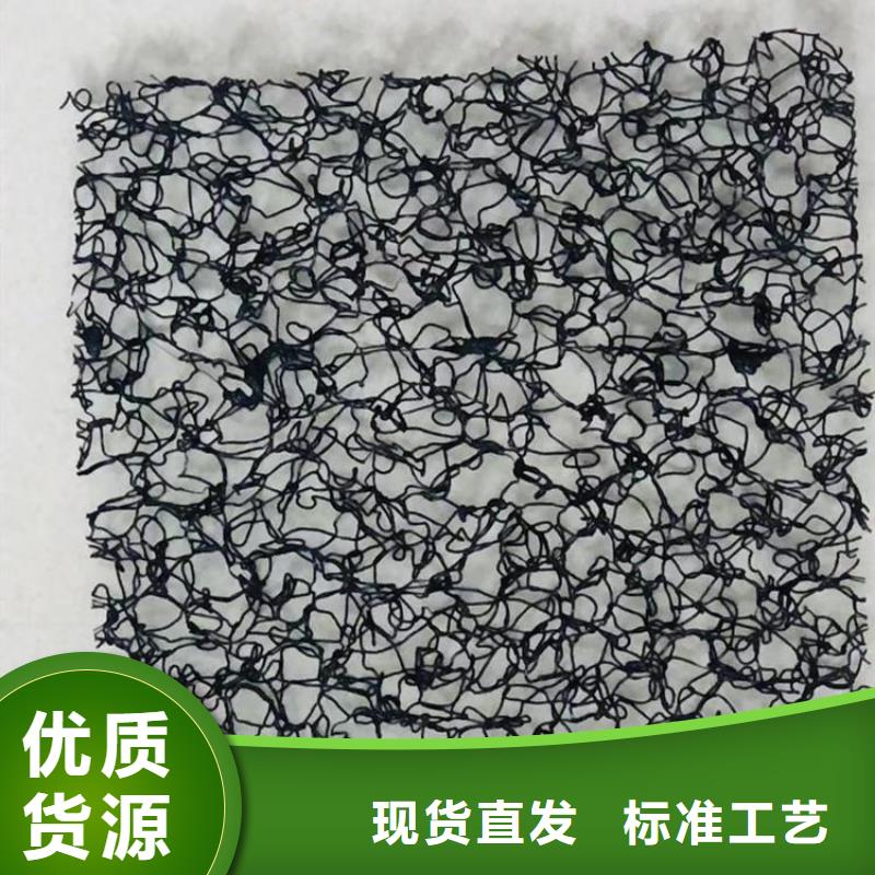 水土保護毯雙向土工格柵批發商