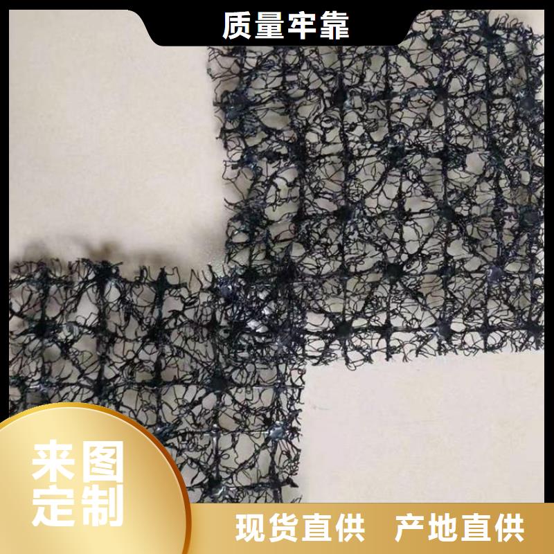 水土保護毯拉筋帶品質保障售后無憂