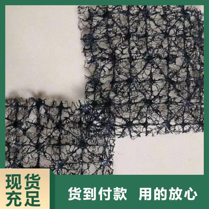 水土保護毯雙向土工格柵批發商