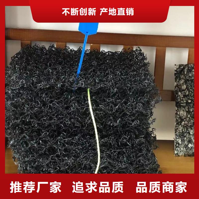 水土保护毯钢塑土工格栅品牌企业