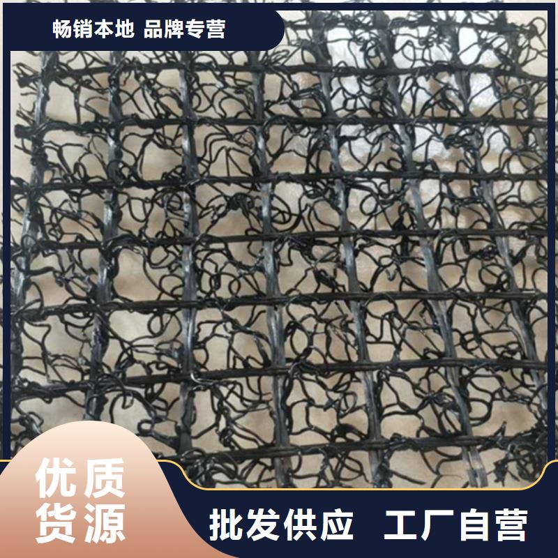 水土保護毯_通風降噪絲網高標準高品質