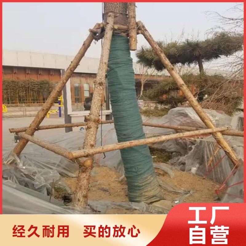 【裹樹(shù)布】_防滲膜多種規(guī)格供您選擇