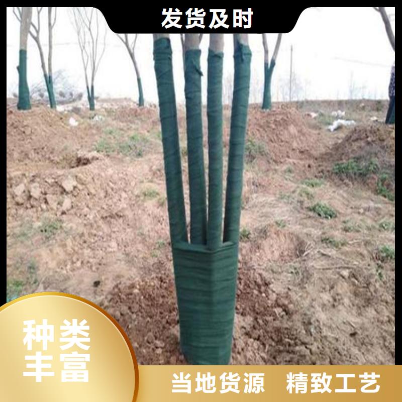 裹樹布-聚酯玻纖布打造好品質