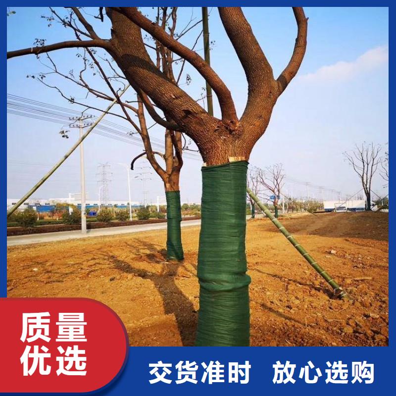 裹树布HDPE土工膜源头厂家