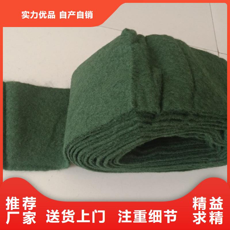 裹树布HDPE土工膜源头厂家