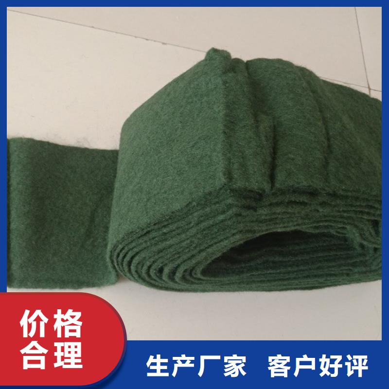【裹树布】_防水板质量不佳尽管来找我|土工格栅-鼎诺土工材料(河源市分公司)