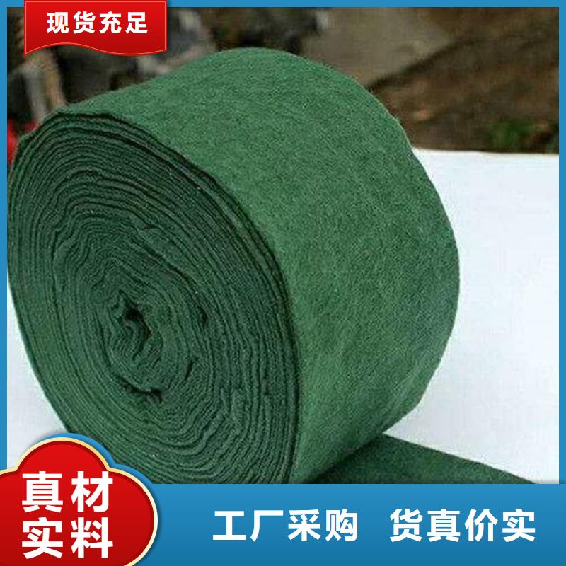 土工格栅视频-东源|龙川|韶关|潮州|汕头|珠海土工格栅通过检测-鼎诺土工材料(河源市分公司)