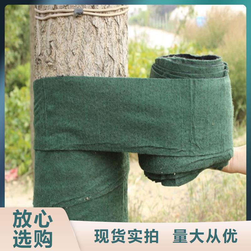 裹樹布HDPE土工膜源頭廠家