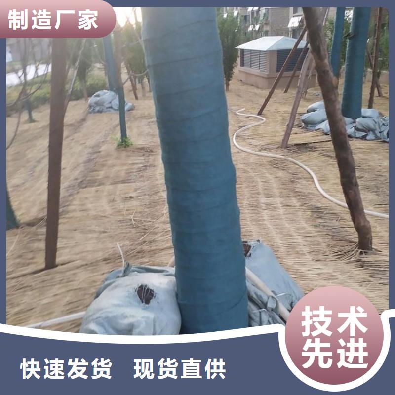 【裹樹布】土工布廠家銷售