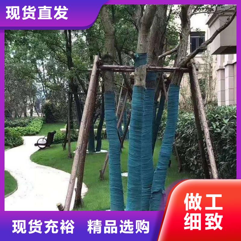 裹樹布_生態帶甄選好廠家