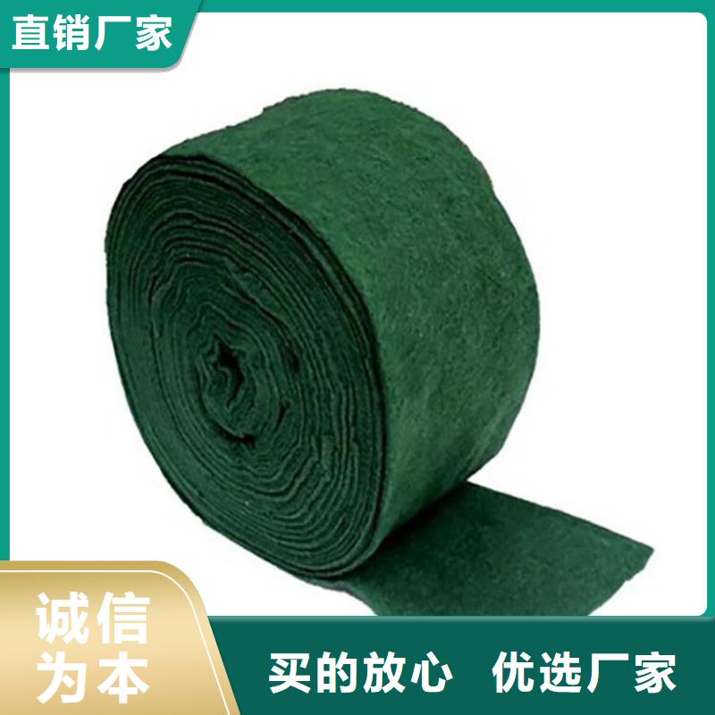 土工格栅视频-东源|龙川|韶关|潮州|汕头|珠海土工格栅通过检测-鼎诺土工材料(河源市分公司)