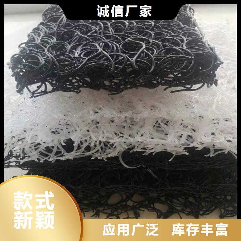 土工席垫,【防水板】畅销本地-鼎诺土工材料(延安市分公司)