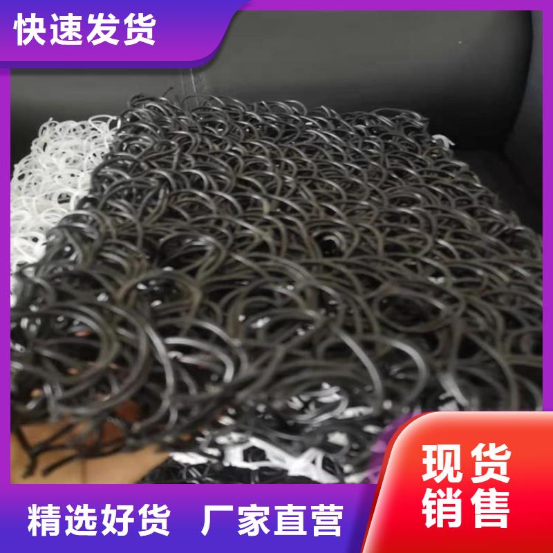 土工格栅视频-土工格栅-陕西省延安市【此地】生产厂家-延川|志丹|汉中|宝鸡|铜川|商洛|西安