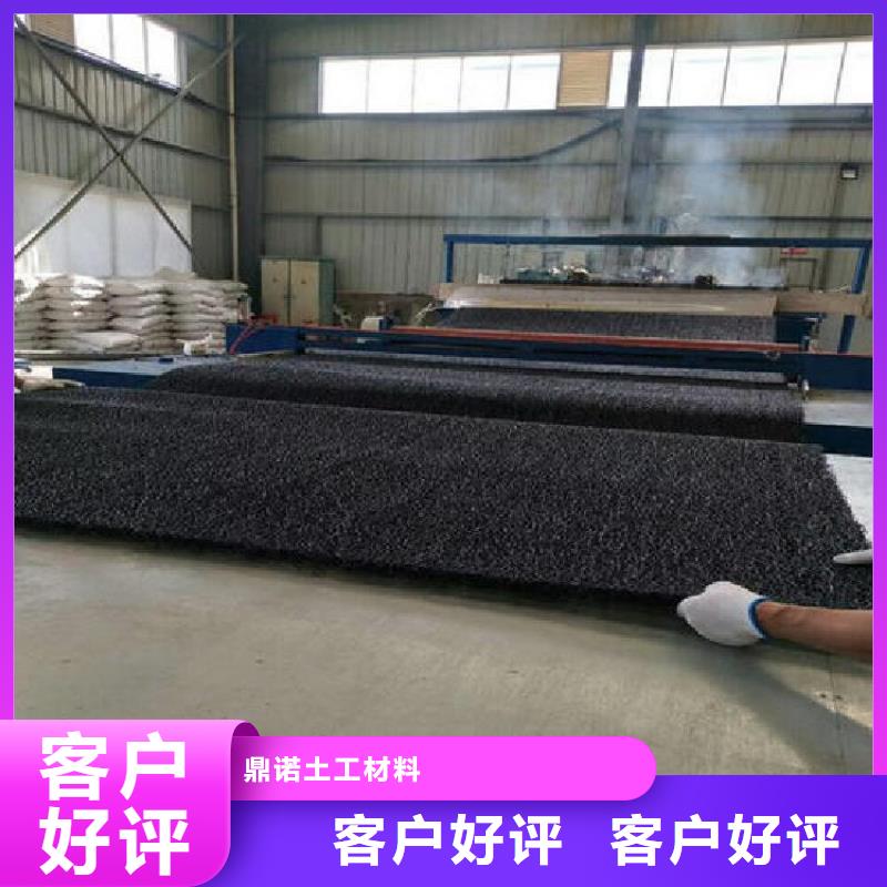 土工格栅视频-安康市土工格栅-(此地)可服务区域平利|岚皋|延安|铜川|宝鸡|汉中|咸阳|西安|商洛