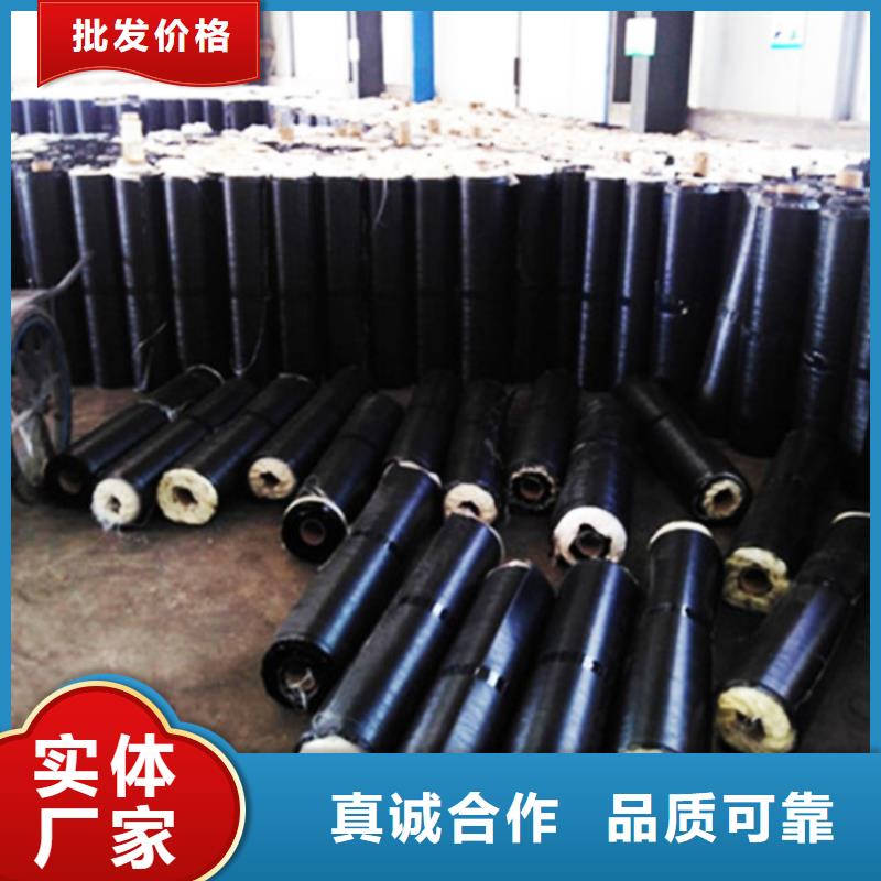 防裂貼礦用格柵今年新款