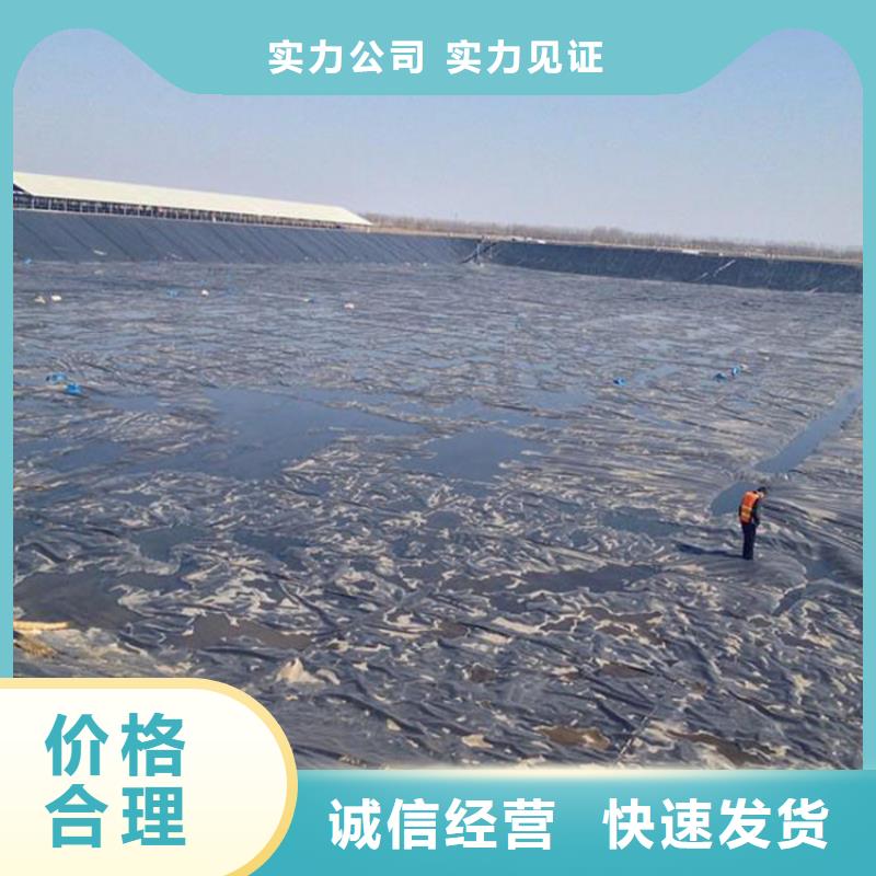 土工膜代理/多少錢一平