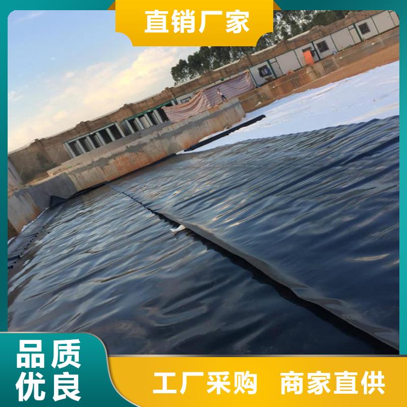 土工膜新聞資訊