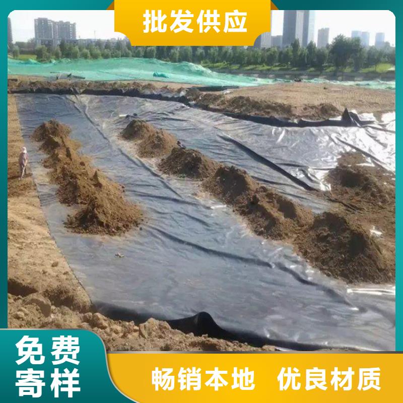 樂東縣土工膜多少錢一平