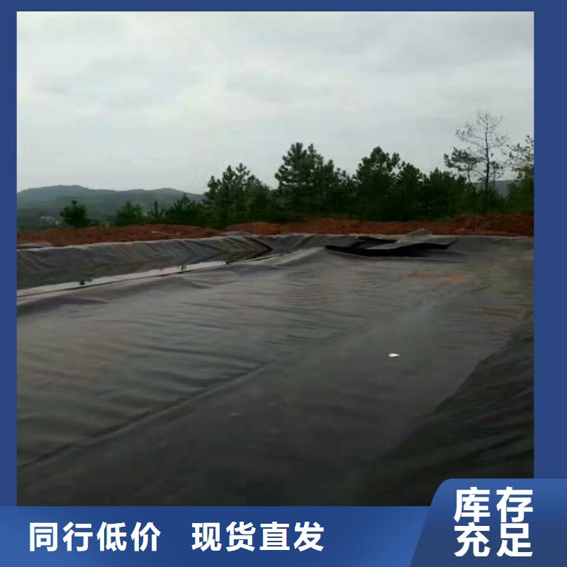 樂東縣土工膜多少錢一平