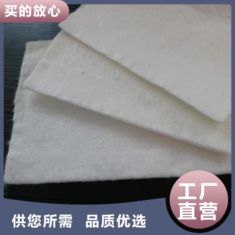土工格栅视频-土工格栅_贵州省六盘水市市场覆盖水城|六枝特|铜仁|遵义|黔南|黔东南|安顺|黔西南|毕节等
