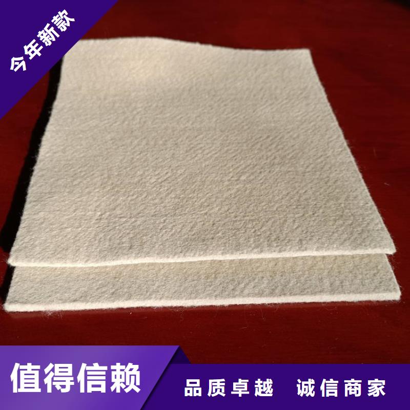 防水土工布-公路養(yǎng)護(hù)土工布-長(zhǎng)絲燒毛土工布