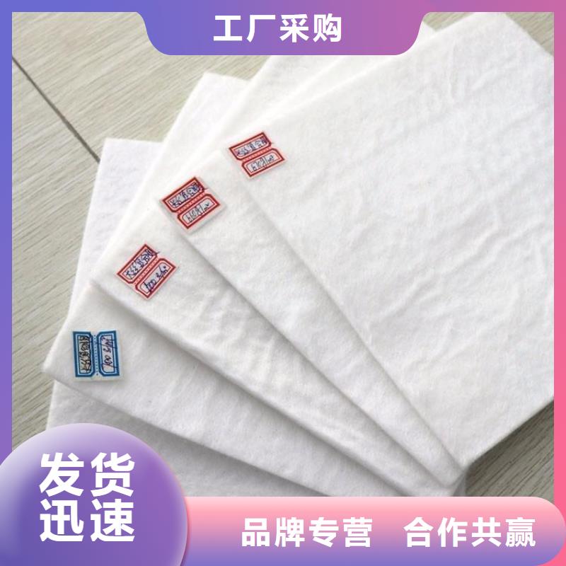 長(zhǎng)絲土工布質(zhì)量放心